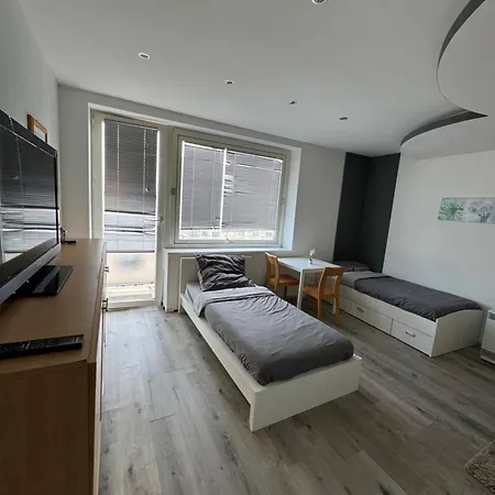 Zentrale 1-zimmer Wohnug In Apartament Hanower